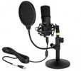 De-lock Delock Professional USB Condenser Microphone Set for Podcasting/Gaming