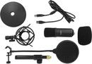 De-lock Delock Professional USB Condenser Microphone Set for Podcasting/Gaming