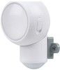 Ledvance SPYLUX 0,3W/830 white - B