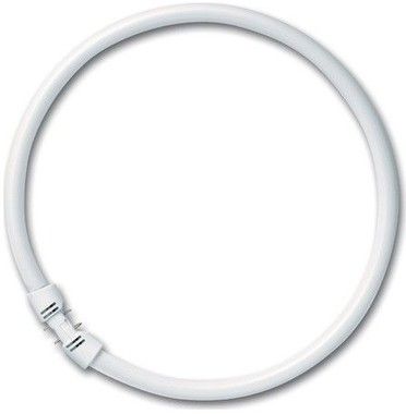 Ledvance LUMILUX T5 fluorescent FC 55W/830 16mm circular-B